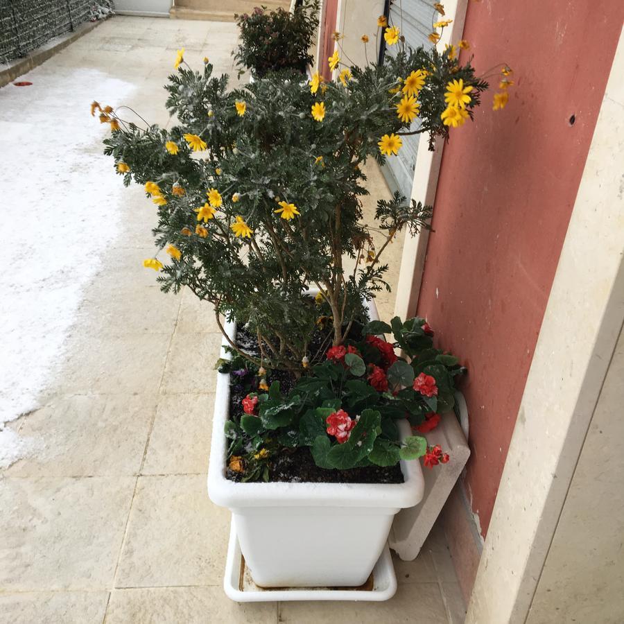 ماتيرا Amaranto Bnb المظهر الخارجي الصورة